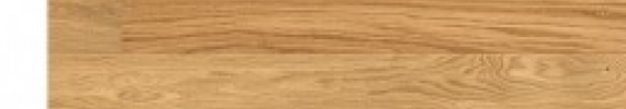 Hardwood - CAS1339